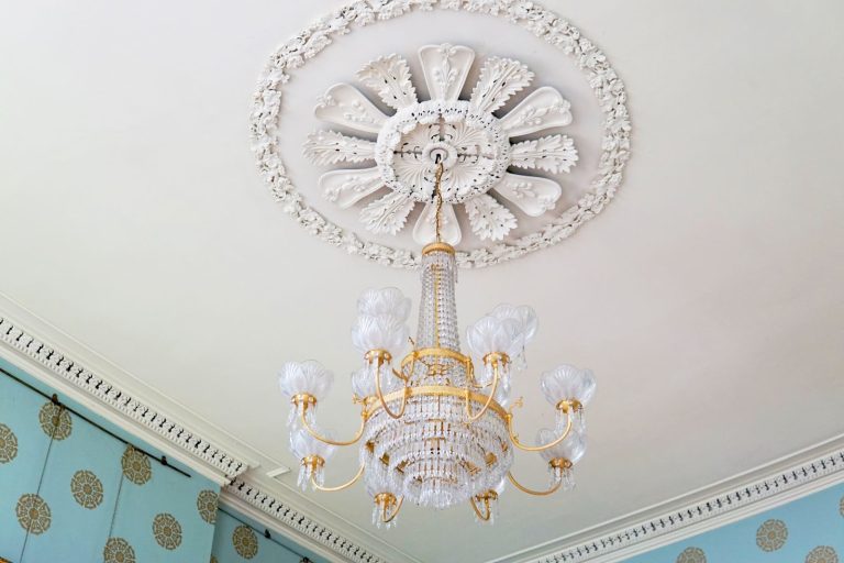 The ceiling rose made in a design of acanthus leaves - people's museum